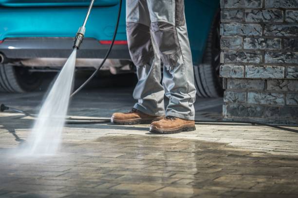Best Gutter Cleaning and Brightening in La Joya, TX