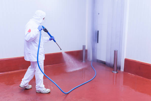 Best Graffiti Removal Services in La Joya, TX