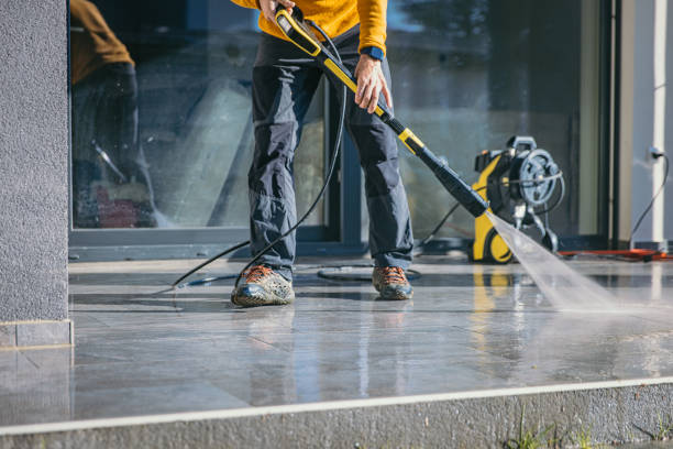 Best Soft Washing for Delicate Surfaces in La Joya, TX